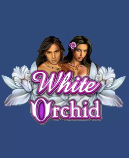 White Orchid